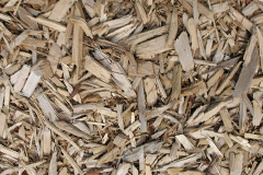 biomass boilers Anna Valley